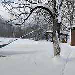 хармония Harmony Zhilentsi