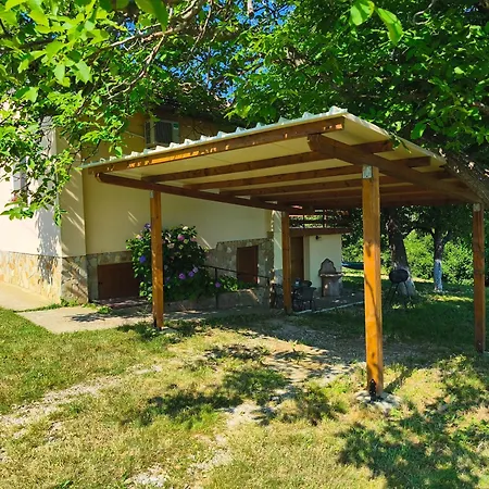 хармония Harmony Zhilentsi