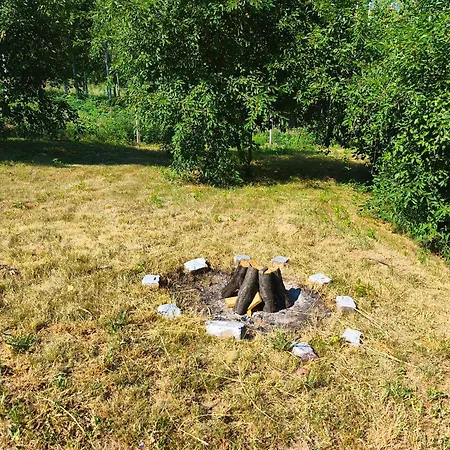 хармония Harmony Zhilentsi