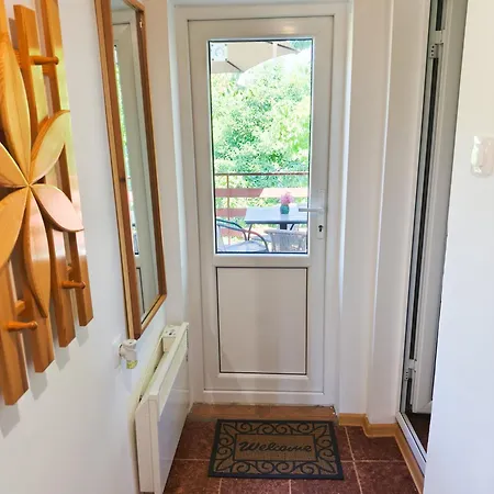 хармония Harmony Zhilentsi