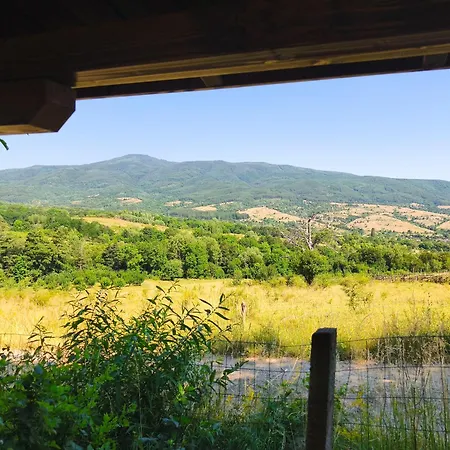 хармония Harmony * Zhilentsi