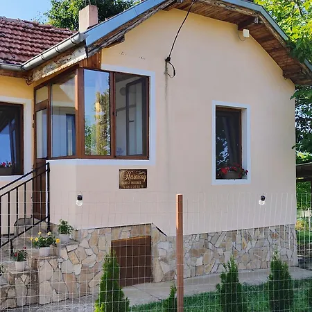 хармония Harmony Tatil Evi