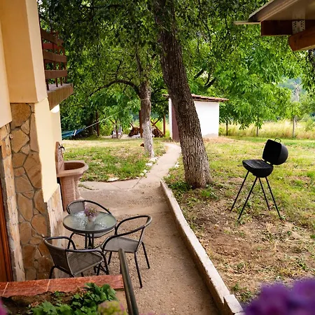 хармония Harmony * Zhilentsi