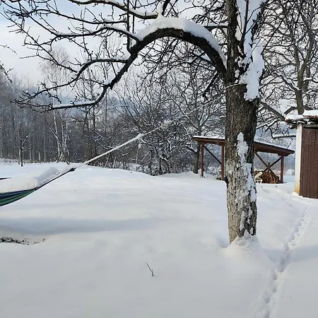 хармония Harmony Zsilenci