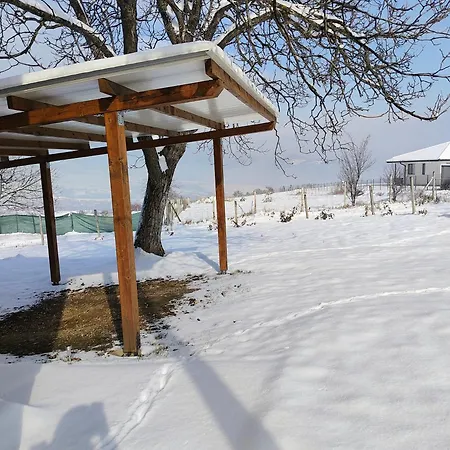 хармония Harmony Zhilentsi