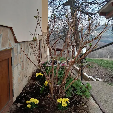 хармония Harmony Nyaraló