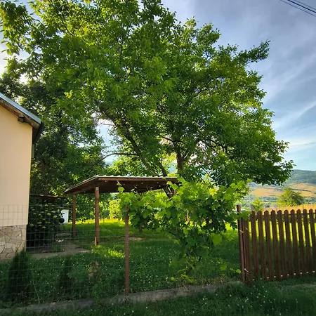 хармония Harmony * كيوستينديل