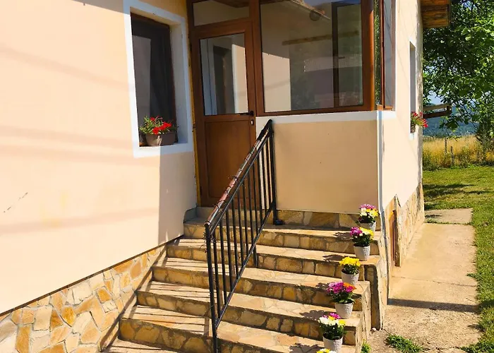 хармония Harmony Zhilentsi