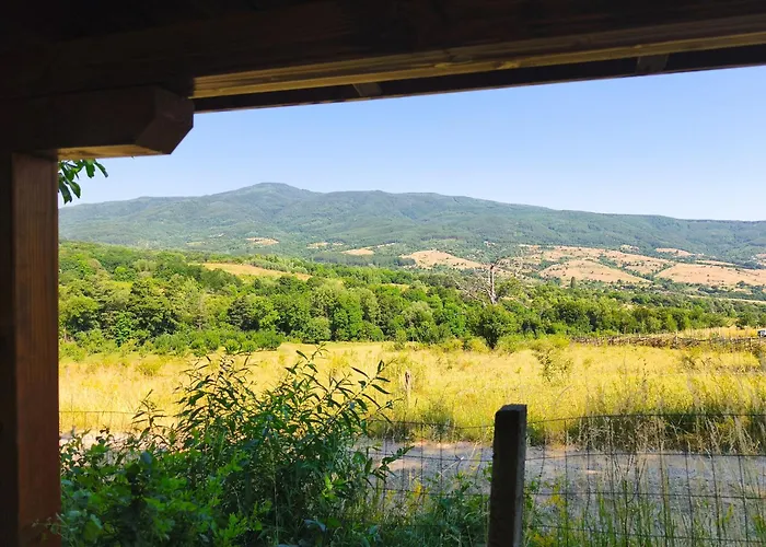 хармония Harmony * Zhilentsi