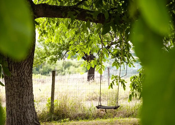 Tatil Evi хармония Harmony Zhilentsi